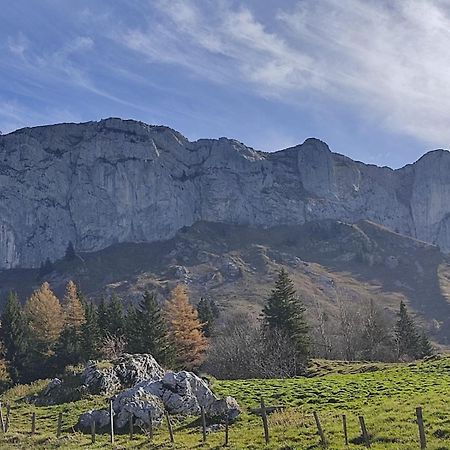 Cretes Du Vercors Vue Magnifique วียาร์-เดอ-ล็อง ภายนอก รูปภาพ