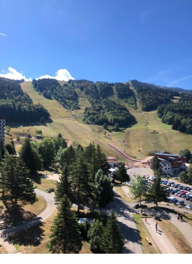 Cretes Du Vercors Vue Magnifique วียาร์-เดอ-ล็อง ภายนอก รูปภาพ