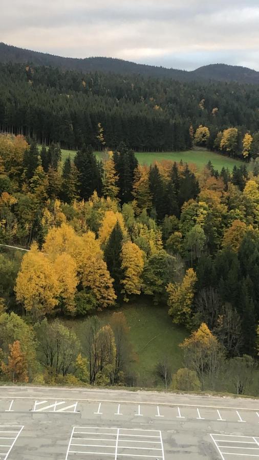 Cretes Du Vercors Vue Magnifique วียาร์-เดอ-ล็อง ภายนอก รูปภาพ