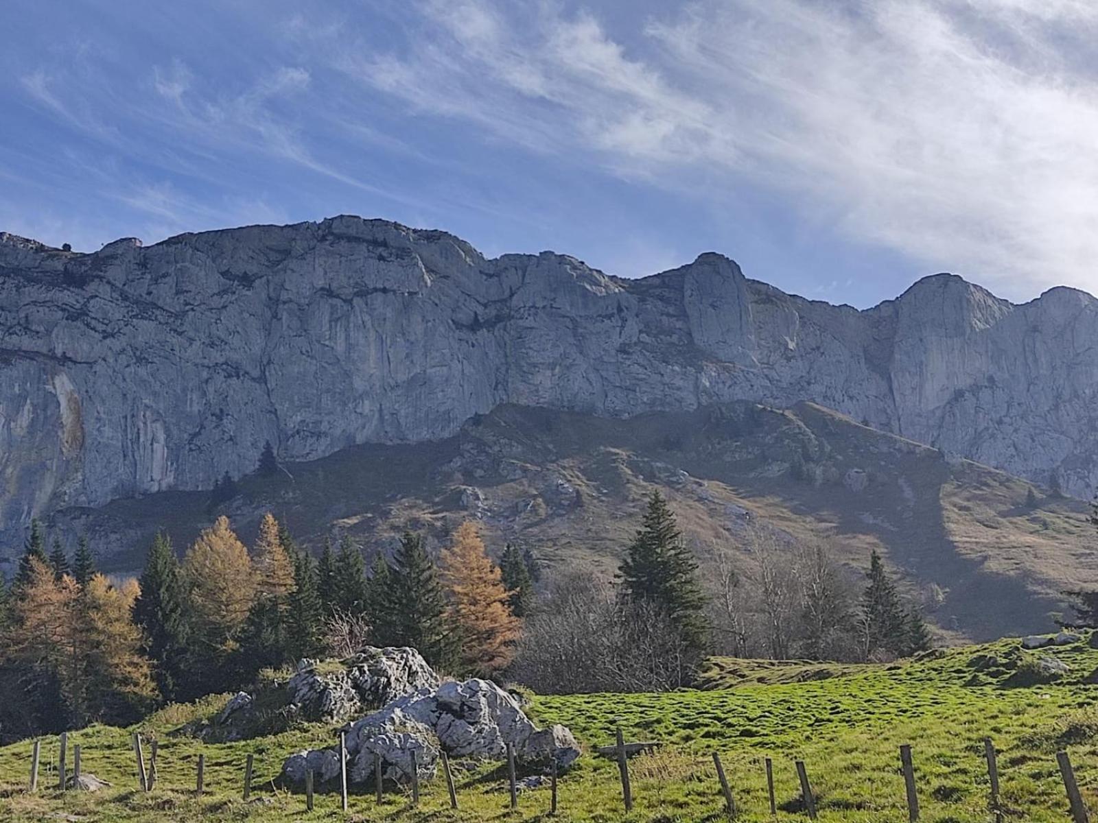 Cretes Du Vercors Vue Magnifique วียาร์-เดอ-ล็อง ภายนอก รูปภาพ